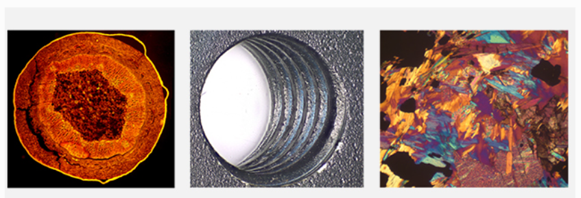 02.png 02.png
